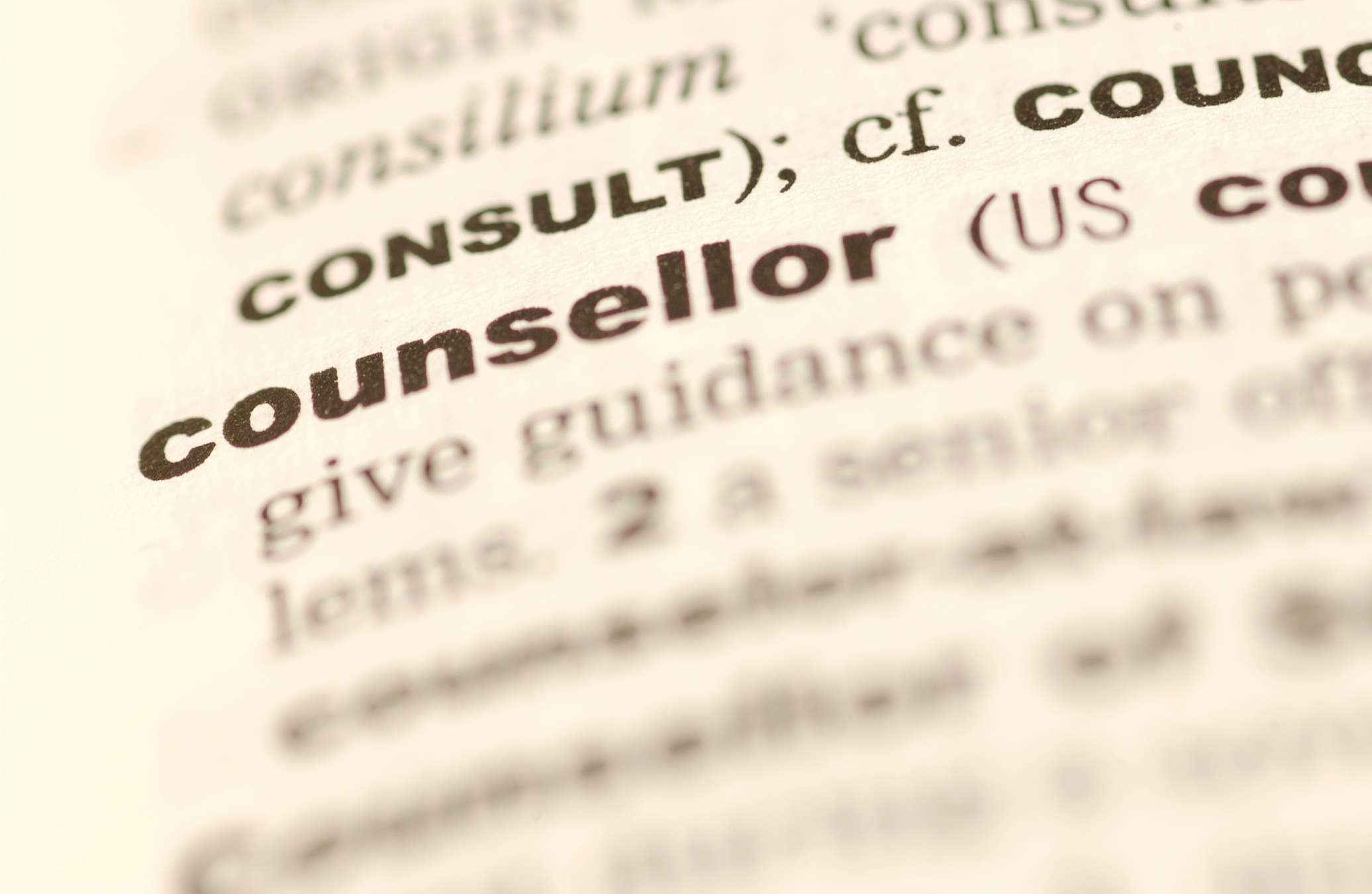 Definition of counsellor